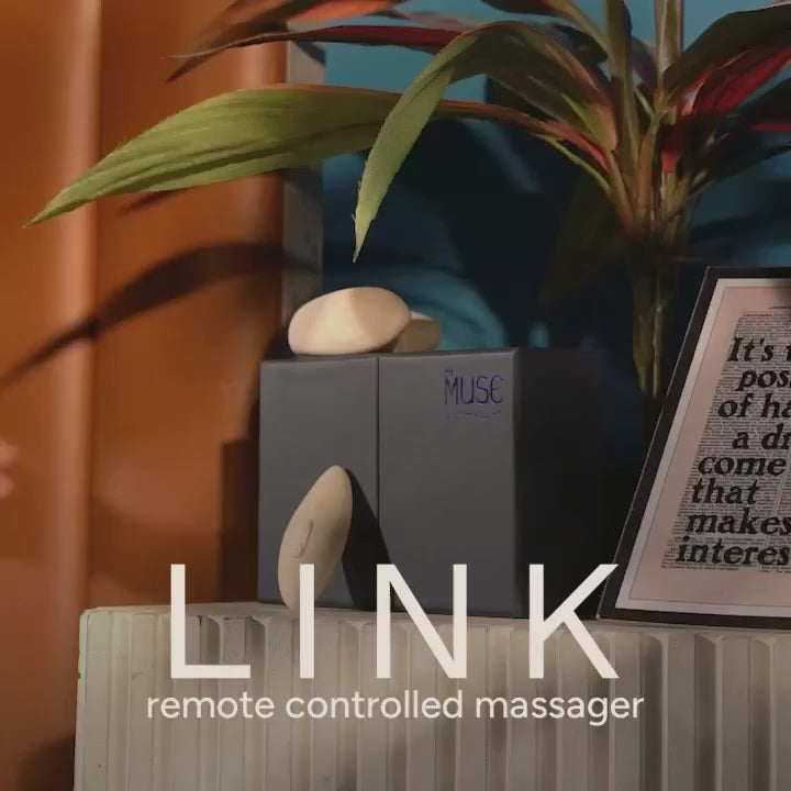 Link REMOTE-CONTROLLED MASSAGER